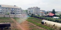 Возрождение пришкольных огородов в Алтайском районе дает свои плоды - ИА Хакасия