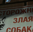 В Бурятии власти заплатили 50 тысяч за озверевших собак - ИА Байкал-Daily
