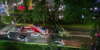 Грозовой шторм основательно потрепал Владимир - Zebra-TV.Ru