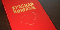 От мониторинга к обновлению Красной книги: итоги заседания комиссии в КБР - Министерство природных ресурсов и экологии