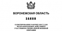 Воронежская область вводит квоты для ветеранов боевых действий: что нужно знать бизнесу - Промышленные вести