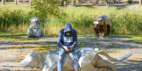 Курганцам объяснили, как отличить профессиональное выгорание от обычного стресса - Область 45