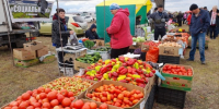 Поставки продуктов контролируют в Забайкалье в условиях дефицита топлива - Забайкальский рабочий