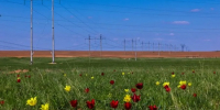 Фото предоставлено пресс-службой филиала ПАО «Россети» — МЭС Юга - НИА-Кубань