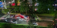 Ночной ураган во Владимире повалил деревья и повредил ЛЭП - Progorod33.Ru