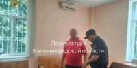 В Калининграде олигарха алиментов отправили на нары - ИА Русский Запад