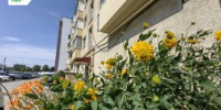 «Санитарный патруль»  проконтролировал работу управляющих компаний в Кургане - Новый мир