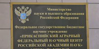 IMG_20260710_122353 - Сетевое издание Арбуз