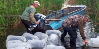 В водоемы Курганской области выпущено на пять миллионов больше личинок и мальков, чем в прошлом году - Департамент сельского хозяйства