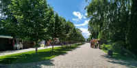 Тамбовчан приглашают на семейный пикник в парк культуры и отдыха - OnlineTambov.Ru