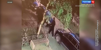Житель Приморского района после ссоры с девушкой повредил три припаркованных автомобиля - ГТРК Санкт-Петербург