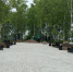 В нашем городе продолжается благоустройство нового общественного пространства – «Аллея Героев» - Город Советская Гавань