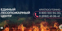 Региональная диспетчерская служба лесной охраны работает круглосуточно - Пресс-центр Правительства