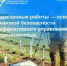 Кадастровые работы — основа правовой безопасности и эффективного управления недвижимостью - МФЦ