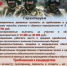В Курганской области формируются отряды БАРС. - Щучанский муниципальный округ