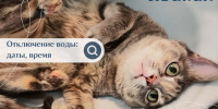 Жителям Абакана напомнили о неприятных днях, которые их ждут в августе - ИА Хакасия