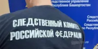 Жителя Уфы арестовали по обвинению в финансировании террористов - Башинформ