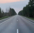 Ремонт главной трассы между ХМАО и Томской областью завершен на 96% - NV86.Ru