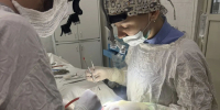 Астраханские врачи спасли ребенка, упавшего с электросамоката - Газета Волга