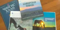Башкирскую лошадь представили на научном форуме в Монголии - Башинформ