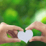 couple-holding-hands-green-meadow.jpg - Центр Мой бизнес