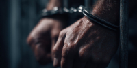Арестован подозреваемый в нападении на пенсионерку с камнем под Гатчиной - 47 новостей