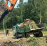 В Шиловском районе благоустраивают территорию озера Святого - RyazPressa.Ru