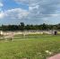 Курганцам рассказали, как не умереть от жары на грядках - Kurgan.Ru