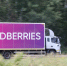 Wildberries опроверг проблемы с доставкой заказов из-за ситуации с топливом - M24.Ru