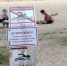 Санврачи не рекомендуют купаться на 6 пляжах Воронежской области - РИА Воронеж