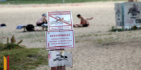 Санврачи не рекомендуют купаться на 6 пляжах Воронежской области - РИА Воронеж