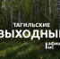 Тагильские выходные топ-6: Ритмы Ибицы, рок на даче, квартирник, самовары и капибары - Между Строк