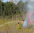 Первоисточник - Syktyvkar.1istochnik.Ru