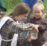 Видео - ТВН