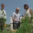 Видео - ТВН