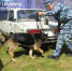 JPG Файл - ГУ МВД Московской области