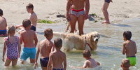 Курганский синоптик рассказала, когда спадёт жара - Область 45