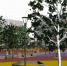 Мониторинг обратной связи по объектам национальных проектов - Администрация Славянского района