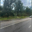 Под Воронежем из-за падения ветки дерева у жителей Ямного пропало электричество - РИА Воронеж