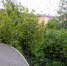 Дождливая погода сохранится - Газета Старицкий Вестник