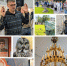 Коллаж - ИА Nord-News.Ru