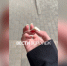 Полиция начала повторную проверку после нападения на девушку на «Винзаводе» в Воронеже - ГТРК Воронеж