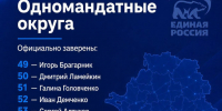 Центризбирком заверил списки кандидатов «Единой России» на выборы в Госдуму - Приазовские степи