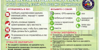 Как не заблудиться в лесу - Бабушкинский муниципальный округ