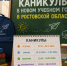 Стали известны даты каникул на новый учебный год в Ростовской области - Bloknot-Rostov.Ru