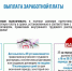Администрация  Ковернинского  муниципального  округа напоминает, что в соответствии   со   ст.  22  Трудового  кодекса  Российской  Федерации работодатель  обязан  выплачивать  причитающуюся работникам заработную плату - Ковернинский муниципальный округ