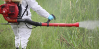 Клещи укусили 1102 волгоградца, пятеро из них заражены - Газета Городские вести