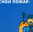 Жителям Тосненского района напомнили о правилах пожарной безопасности в лесах - Online47.Ru
