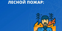 Жителям Тосненского района напомнили о правилах пожарной безопасности в лесах - Online47.Ru