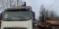 В Карелии вынесен приговор водителю лесовоза, из-за ошибки которого бревнами убило бизнесмена - Gubdaily.Ru